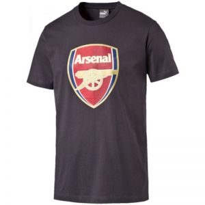 Koszulka Puma Arsenal Football Club Fan Tee M 749297121