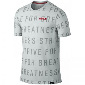 Koszulka Nike LeBron Strive All Over M 742748-043