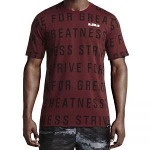 Koszulka Nike LeBron Strive All Over M 742748-677