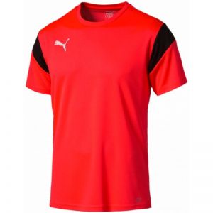 Koszulka piłkarska Puma Football TRG M 65491555